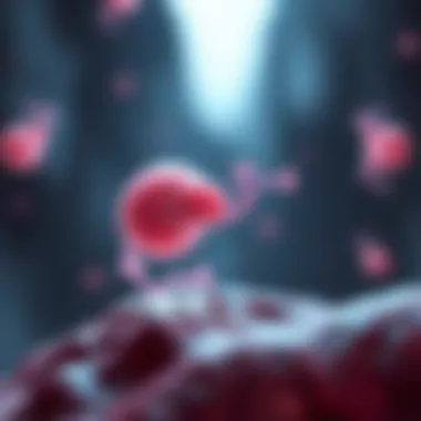 FGF8 Signaling Pathway in Embryonic Development FGF8 signaling pathway in embryonic development