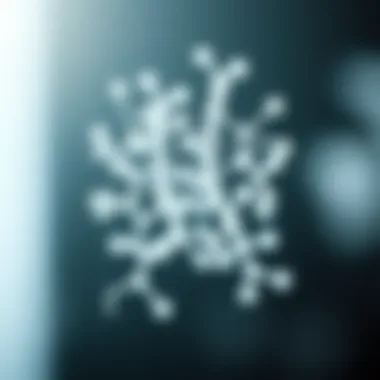 Molecular Structure of FGF8 Protein Molecular structure of FGF8 protein