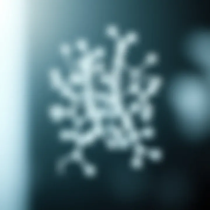 Molecular Structure of FGF8 Protein Molecular structure of FGF8 protein