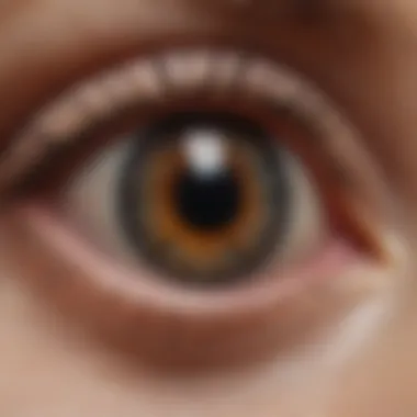 Visual representation of the impact of retinal scars on vision quality
