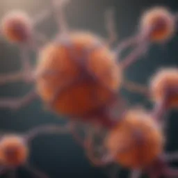 Illustration depicting the biological connection between bladder and prostate cancer cells