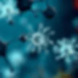 Understanding Klebsiella in Urinary Infections Diagram illustrating Klebsiella bacteria in urinary tract