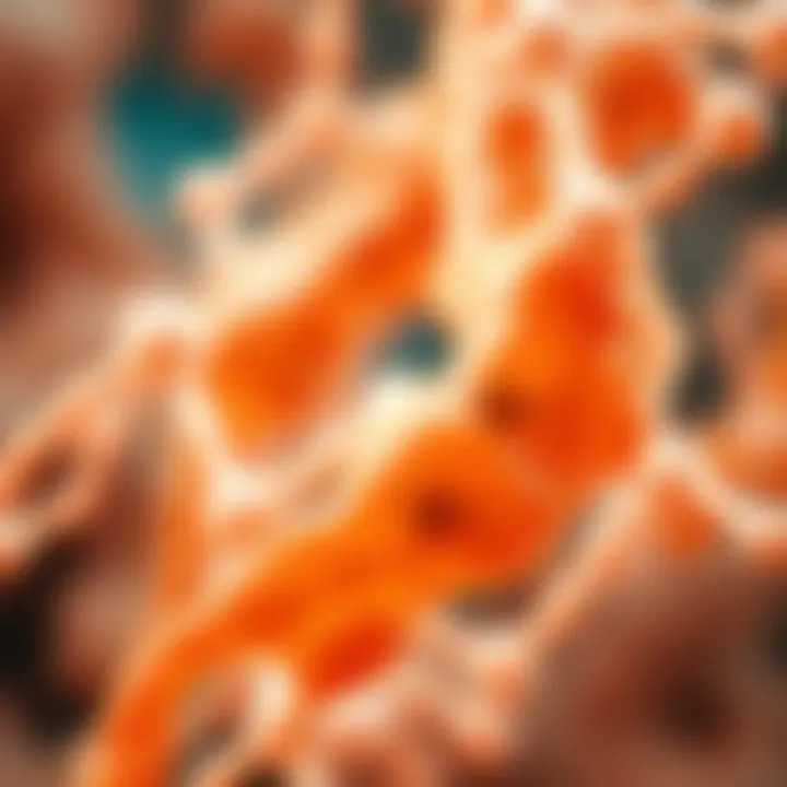 Metabolic pathways of L-glutamic acid