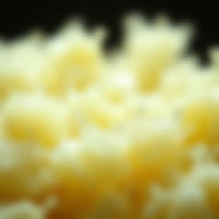 Applications of L-glutamic acid in nutrition