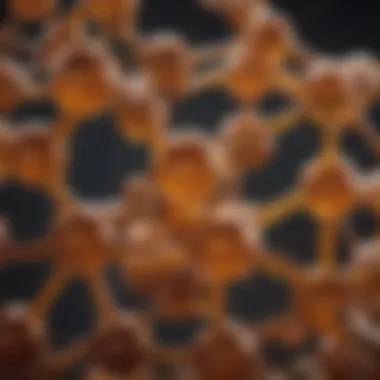 Understanding the Molecular Composition of Lecithin Molecular structure of lecithin