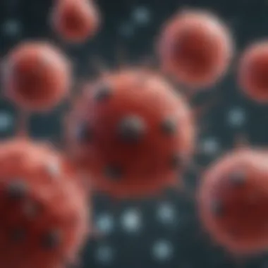 Mechanisms of Leukemogenesis and Blast Cell Proliferation Illustration of leukemogenesis mechanisms
