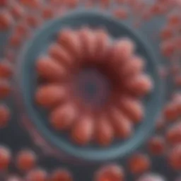 Illustration depicting the structural layout of lipid nanodiscs.