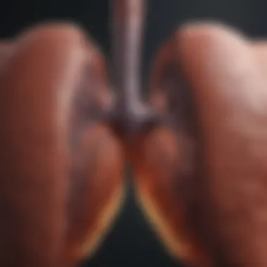 Understanding Liver Anatomy and Alcohol Interaction Liver Anatomy and Alcohol Interaction