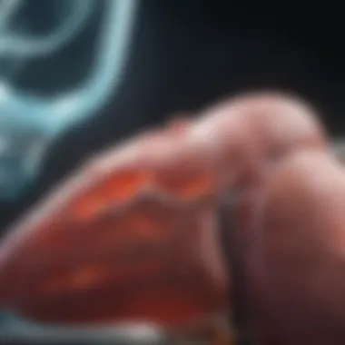 Innovative Therapies for Liver Protection Emerging Therapies for Liver Protection