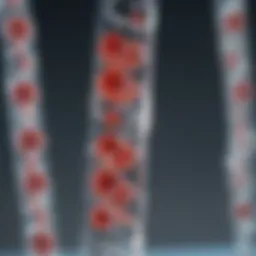 Representation of mRNA technology in vaccine development