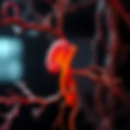 Interconnected pathways of diabetes and chronic kidney disease