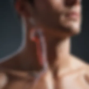 Understanding the Respiratory System Visualization of the respiratory system