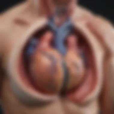 Complications of Untreated Left Ventricular Hypertrophy Infographic on the complications associated with untreated LVH