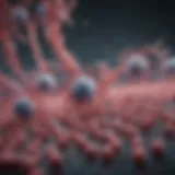 Illustration showcasing monoclonal antibodies binding to target antigens