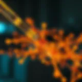 Innovative diagnostic techniques in tuberculosis