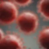 Illustration of blood cell production in MDS