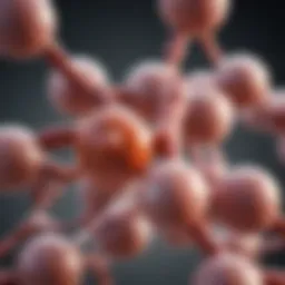NAC structure and its role in metabolic processes