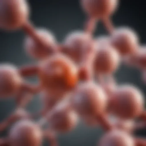 NAC structure and its role in metabolic processes