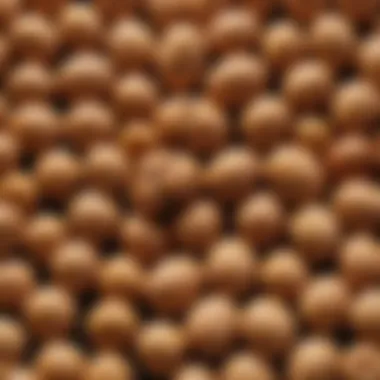 The Unique Texture of Natto Natto with visible texture showcasing fermented soybeans