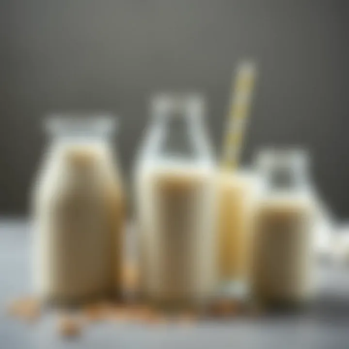 Diverse Plant-Based Milk Options Oat milk alongside other plant-based milk alternatives