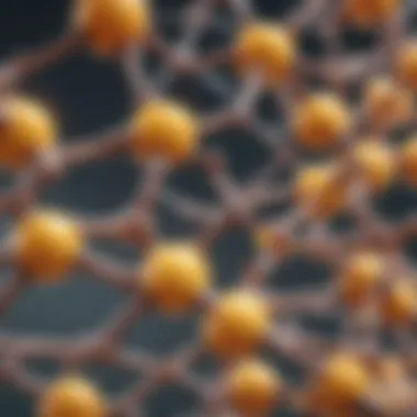 Representation of omega-3 and omega-6 fatty acids in a molecular structure.