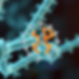 Schematic representation of pan-TRK antibody binding to TRK proteins