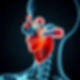 Anatomical Overview of the Parotid Gland Detailed anatomical diagram of the parotid gland