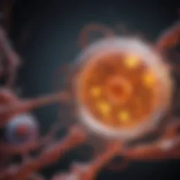 Illustration of phospho ERK activation within the MAPK pathway