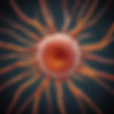 Schematic illustrating phospho ERK signaling in regenerative medicine