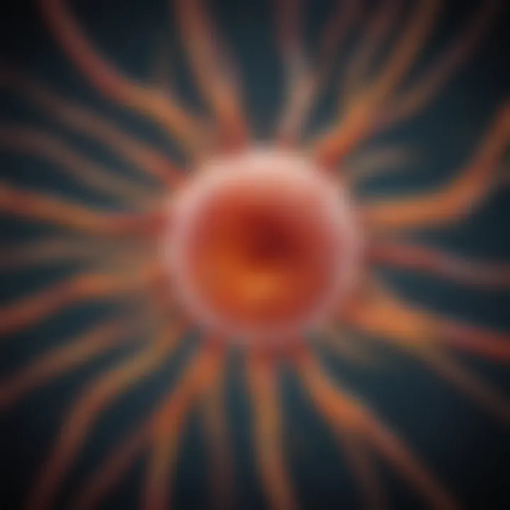 Schematic illustrating phospho ERK signaling in regenerative medicine