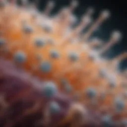 Microscopic view of probiotics
