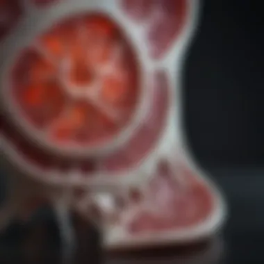 Recent Advancements in BMSCs Research Overview of recent advancements in BMSCs research