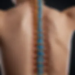 Visual representation of spinal curvature variations in scoliosis
