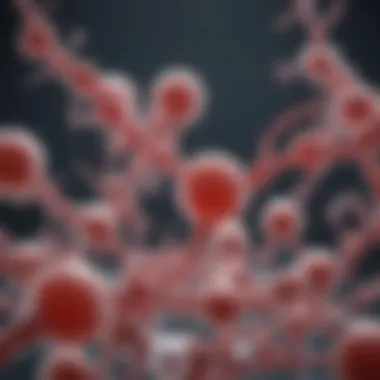 Applications of Acetyl Lysine Antibodies in Research Schematic representation of research applications of acetyl lysine antibodies in various fields