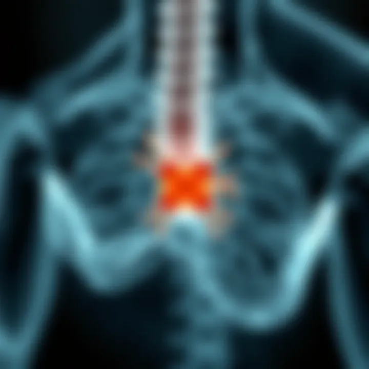 Intricate Mechanisms of Rheumatism Illustration depicting the intricate mechanisms of rheumatism.