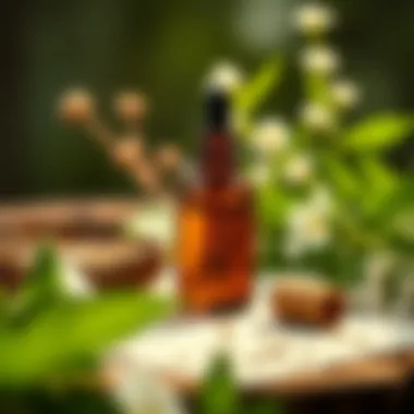 Embrace Nature: Safe Ingredients for Expecting Mothers Natural ingredients for safe cosmetics