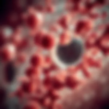 Microscopic view of sarcomatoid mesothelioma cells