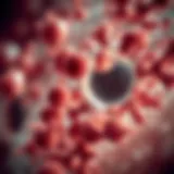 Microscopic Analysis of Sarcomatoid Mesothelioma Microscopic view of sarcomatoid mesothelioma cells