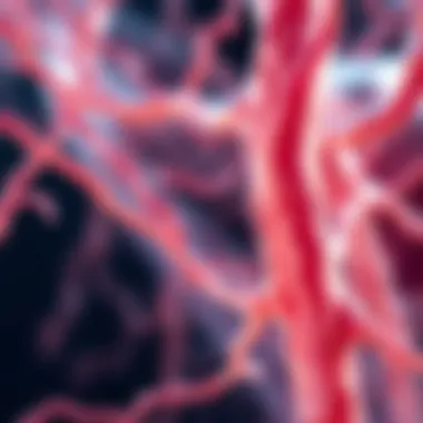 Challenges in Stem Cell Applications for Nerve Injuries Challenges in stem cell applications for nerve injuries