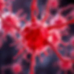 Stem cell differentiation into neural cells