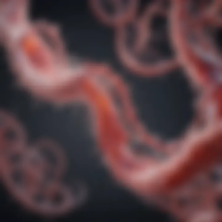 Illustration of molecular pathways involved in tissue repair