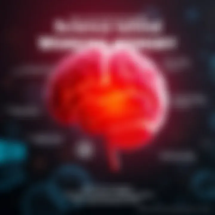 Science Behind Working Memory Infographic illustrating the science behind working memory