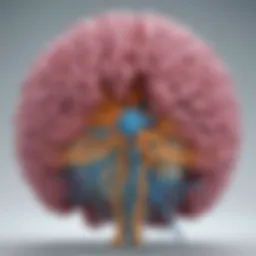 Diagram illustrating the structure of synuclein proteins in the brain