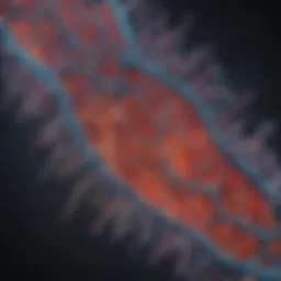 The Advancements of 10x Single Cell RNA Sequencing Introduction