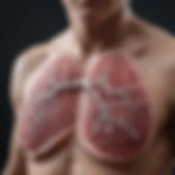 Lungs affected by COPD showing inflammation and reduced capacity