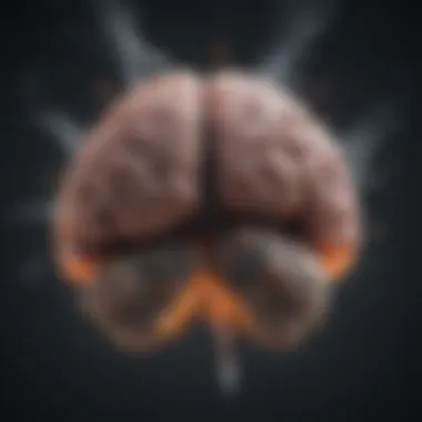Brain regions impacted by smoking habits Brain scan highlighting areas affected by smoking