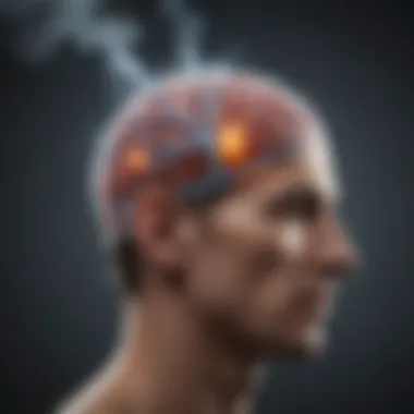 Understanding neurotransmitter systems affected by nicotine Neurotransmitter interaction in the brain