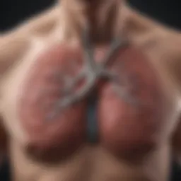 Lung function assessment in COPD patients