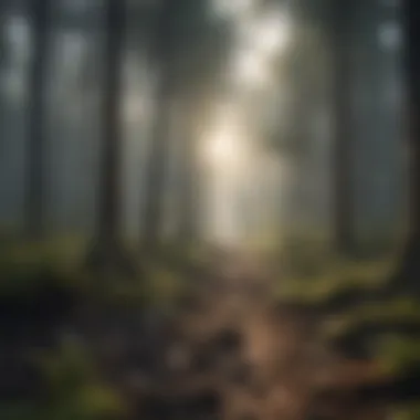 Benefits of Reforestation Efforts Illustration of reforestation efforts and their benefits