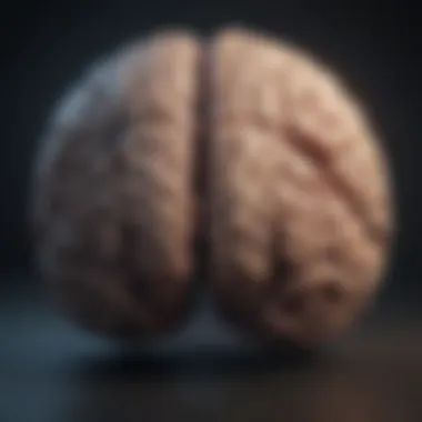 Brain Regions Associated with Depression Brain regions linked to depressive disorders